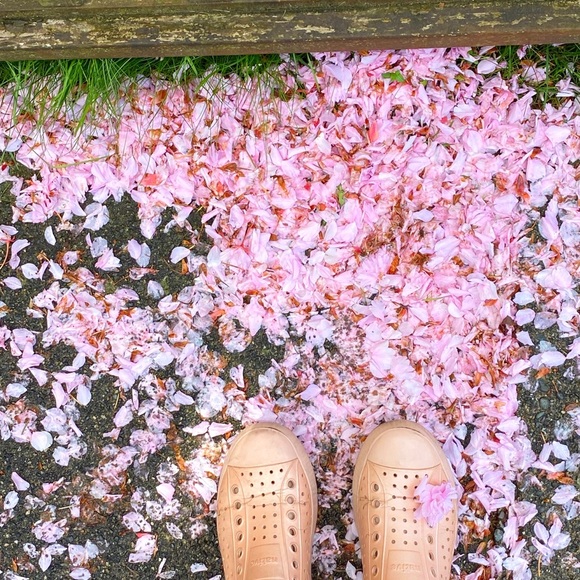 Meet your Posher, Tamara - Picture 2 of 7